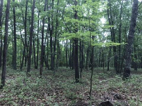 480 Liberty Rd, Penhook, VA 24137 photo 14