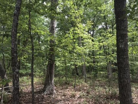 480 Liberty Rd, Penhook, VA 24137 photo 20