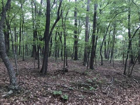 480 Liberty Rd, Penhook, VA 24137 photo 15