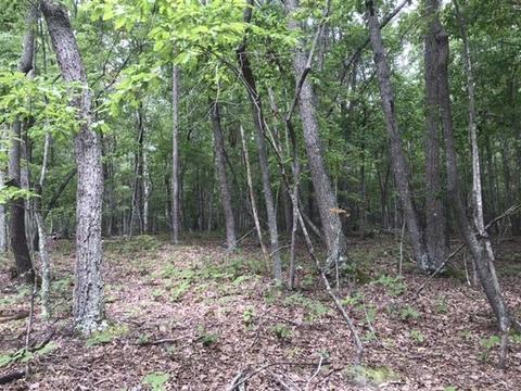 480 Liberty Rd, Penhook, VA 24137 photo 28