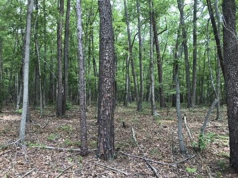 480 Liberty Rd, Penhook, VA 24137 photo 27