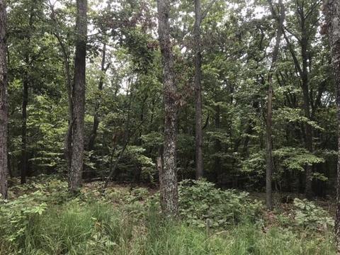 480 Liberty Rd, Penhook, VA 24137 photo 30