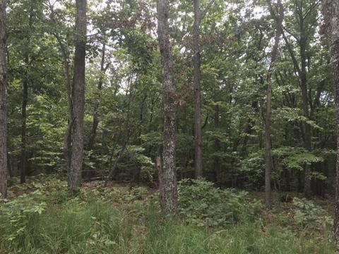 480 Liberty Rd, Penhook, VA 24137 photo 23