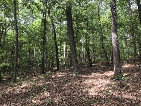 480 Liberty Rd, Penhook, VA 24137 photo 3