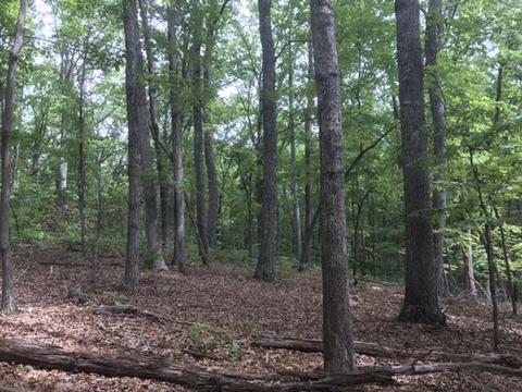 480 Liberty Rd, Penhook, VA 24137 photo 18