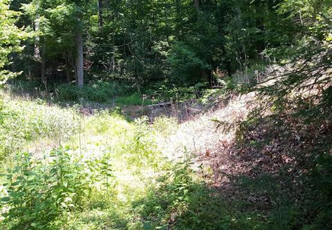 0 Thompson Memorial Dr, Salem, VA 24153