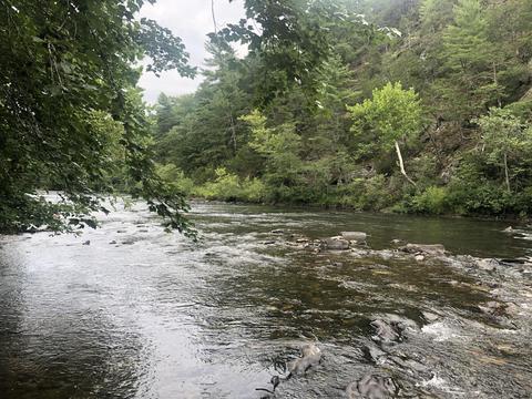 0 Nicelytown Rd, Clifton Forge, VA 24422