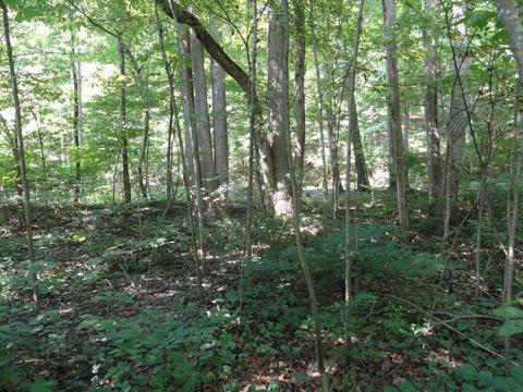 139 River Rd N, Covington, VA 24426 photo 6