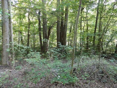 139 River Rd N, Covington, VA 24426 photo 5