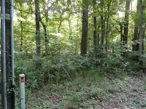139 River Rd N, Covington, VA 24426 photo 4