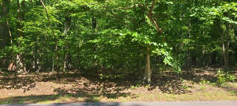Lot 43 Long Pine Ct, Moneta, VA 24121