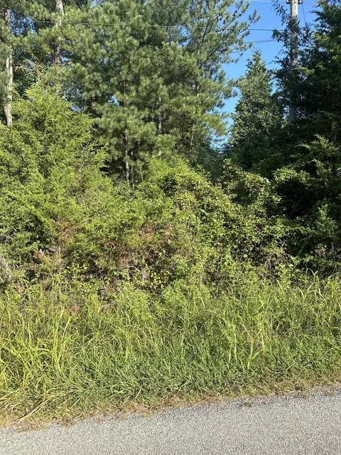 0 Lipscomb Rd, Moneta, VA 24121 photo 2