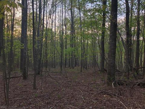 0 Breezy Hollow Trl, Cana, VA 24317