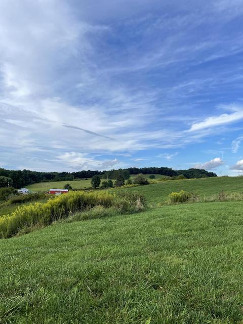 4962 Daniels Run Rd NE, Pilot, VA 24138 photo 14