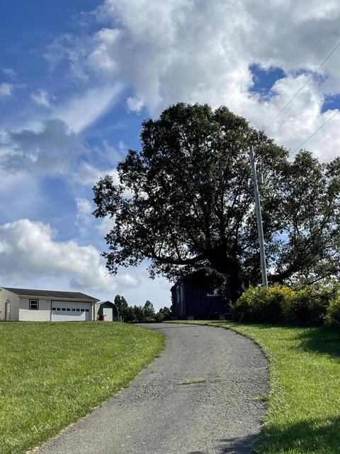 4962 Daniels Run Rd NE, Pilot, VA 24138 photo 4