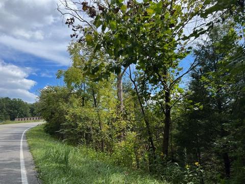 Lot 4 White House Rd, Moneta, VA 24121