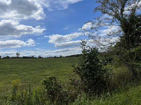 Lot 2 White House Rd, Moneta, VA 24121