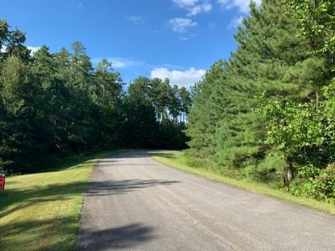 lot333 Bay View Rd, Lynch Station, VA 24571