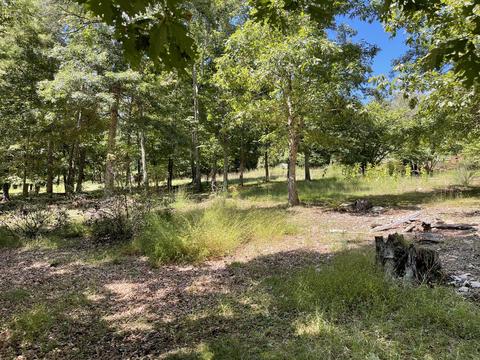 3712 Sunflower Rd, Pilot, VA 24138 photo 13