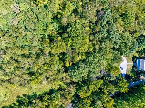 693 Davis Rd, Roanoke, VA 24012 photo 42