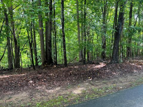 lot19 Leeward Dr, Moneta, VA 24121