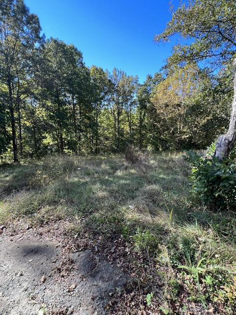 856 Armstrong Rd, Penhook, VA 24137 photo 22