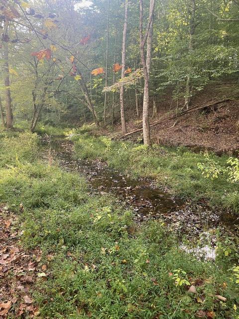 856 Armstrong Rd, Penhook, VA 24137 photo 27