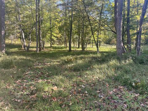 856 Armstrong Rd, Penhook, VA 24137 photo 28