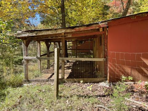 853 Mcdaniel Dr, Eagle Rock, VA 24085 photo 4