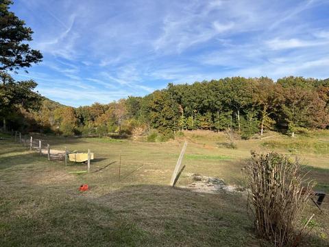 2265 Pico Rd, Buchanan, VA 24066 photo 32
