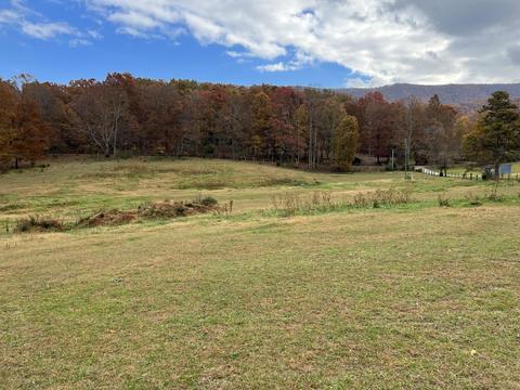 2265 Pico Rd, Buchanan, VA 24066 photo 41