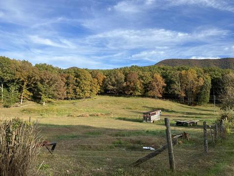 2265 Pico Rd, Buchanan, VA 24066 photo 33
