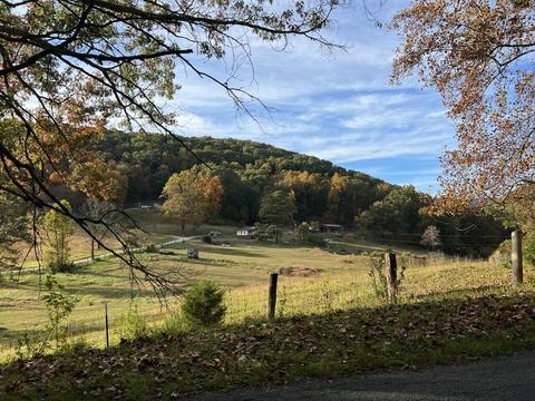 2265 Pico Rd, Buchanan, VA 24066 photo 39