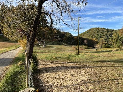 2265 Pico Rd, Buchanan, VA 24066 photo 36