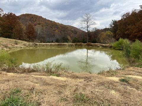 2265 Pico Rd, Buchanan, VA 24066 photo 29