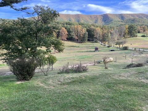 2265 Pico Rd, Buchanan, VA 24066 photo 31