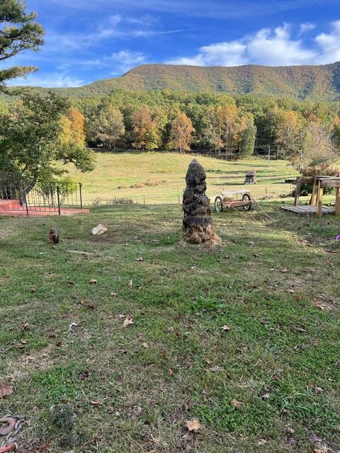 2265 Pico Rd, Buchanan, VA 24066 photo 45