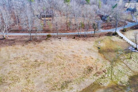 2265 Pico Rd, Buchanan, VA 24066 photo 21
