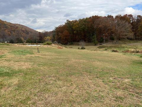 2265 Pico Rd, Buchanan, VA 24066 photo 40
