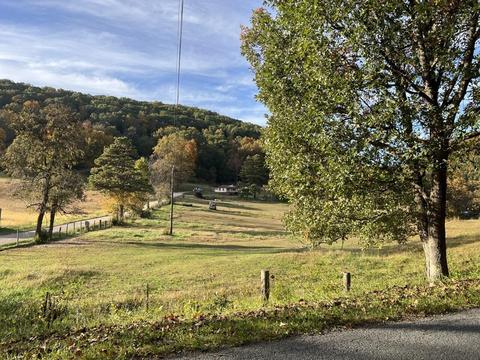 2265 Pico Rd, Buchanan, VA 24066 photo 37