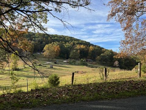 2265 Pico Rd, Buchanan, VA 24066 photo 38