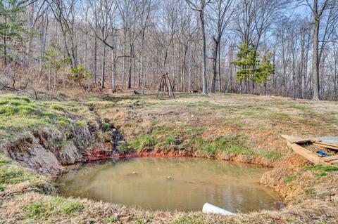 2265 Pico Rd, Buchanan, VA 24066 photo 27
