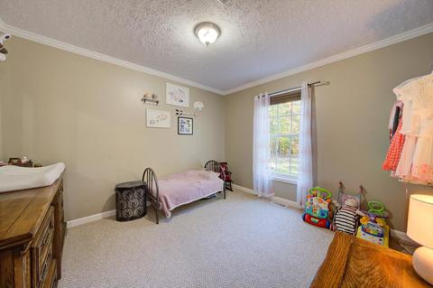85 Cooks Knob Rd, Ferrum, VA 24088 photo 14