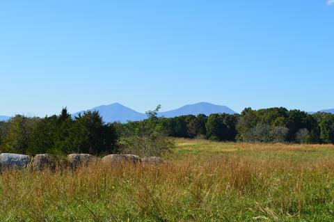 Lot 3 Goode Station Rd, Goode, VA 24556