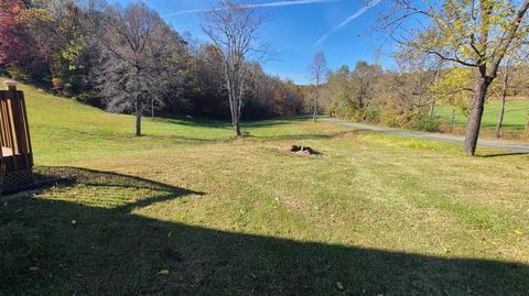 1185 Pernello Rd, Ferrum, VA 24088 photo 33