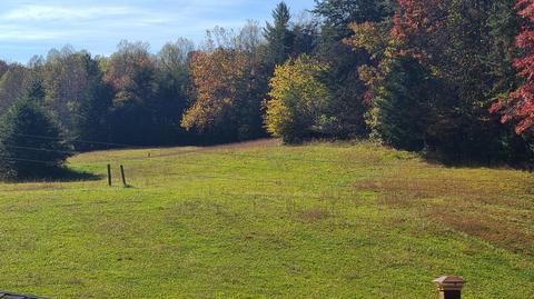1185 Pernello Rd, Ferrum, VA 24088 photo 34