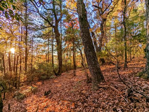 0 Majestic View Ln NW, Floyd, VA 24091