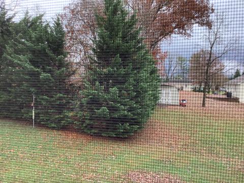 3501 Gene St, Salem, VA 24153 photo 15