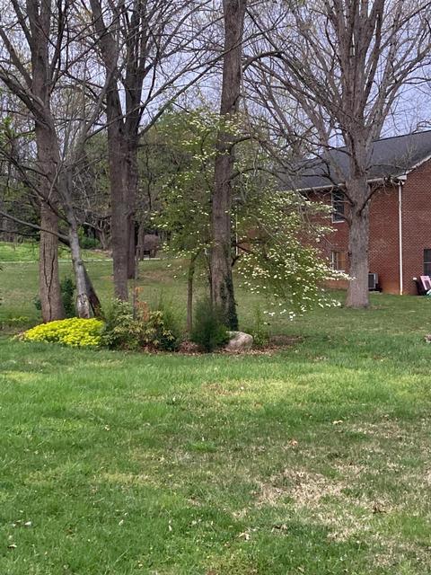 3501 Gene St, Salem, VA 24153 photo 2