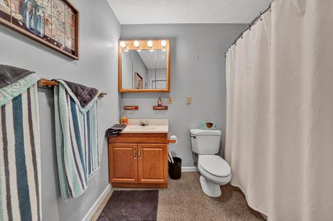 1103 Comanche Trl, Covington, VA 24426 photo 37